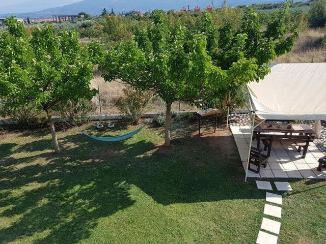 Plaka Luxury Villa Litochoro Extérieur photo