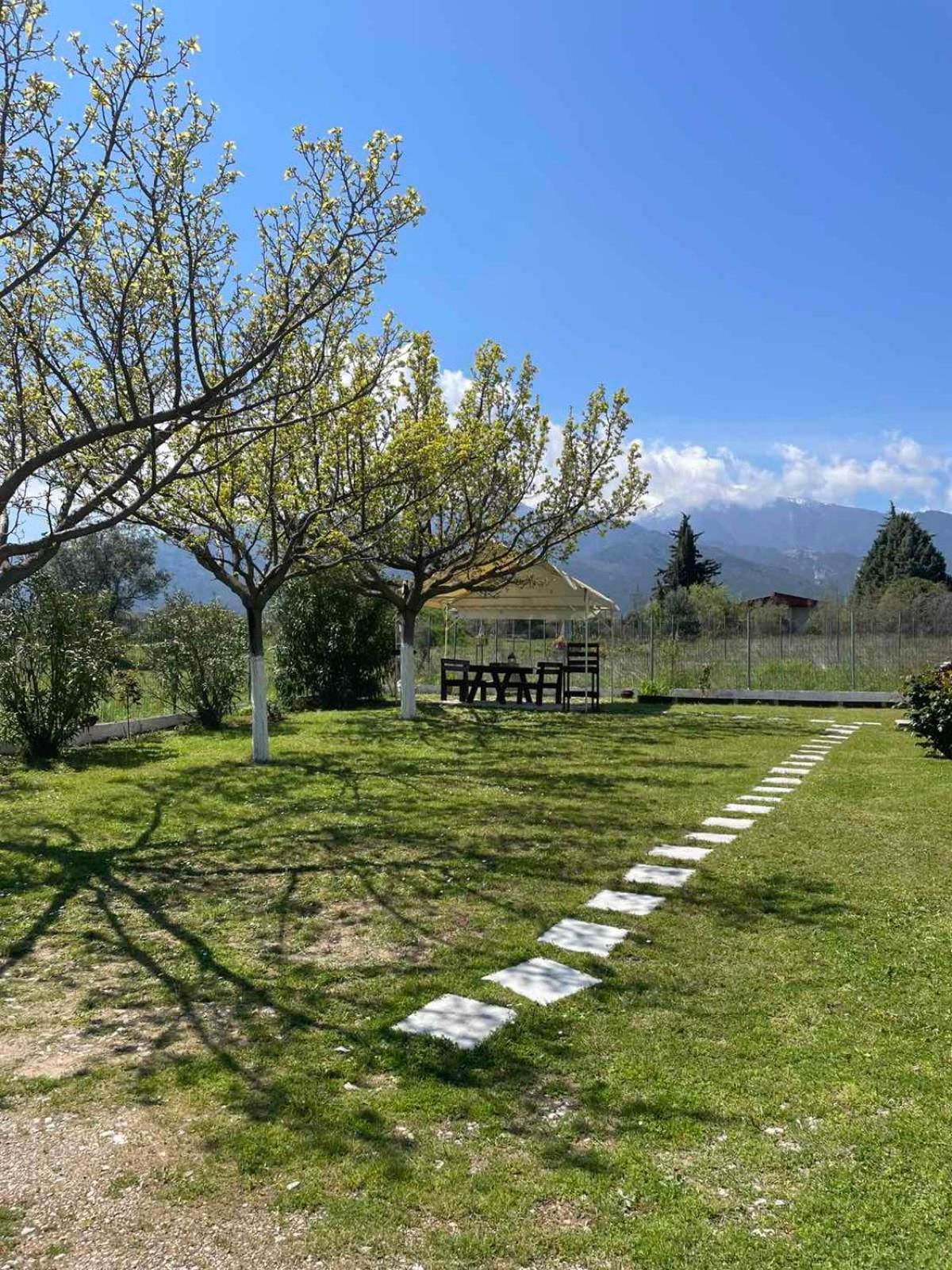 Plaka Luxury Villa Litochoro Extérieur photo